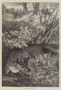 盗む 作： Harrison William Weir